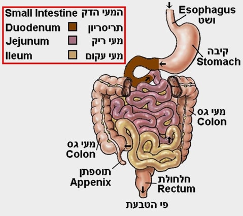 אילוסטרציה של החלקים השונים במערכת העיקול